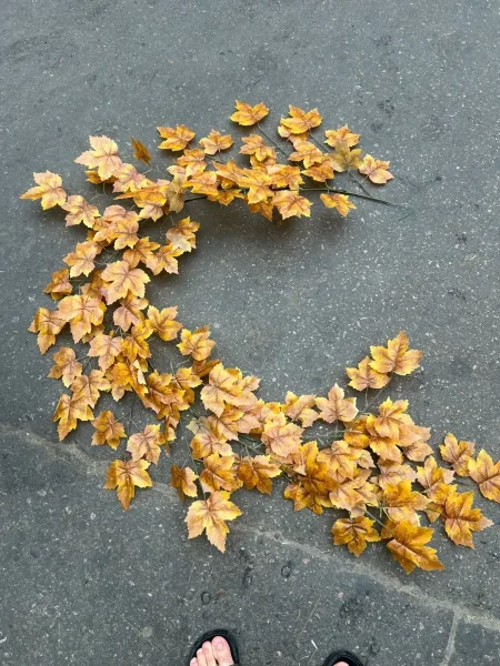 Осень лиана 2м — фото 1