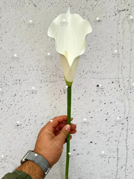 Высота — фото 1