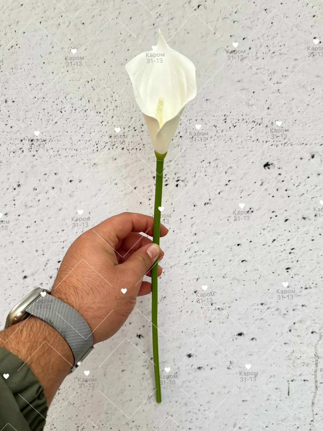 Высота — фото 1