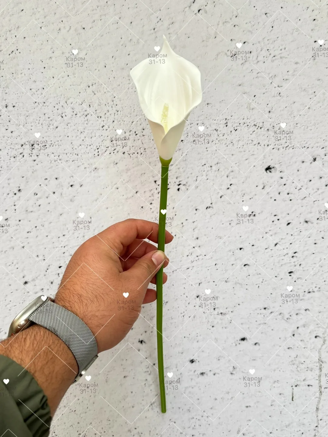 Высота — фото 3