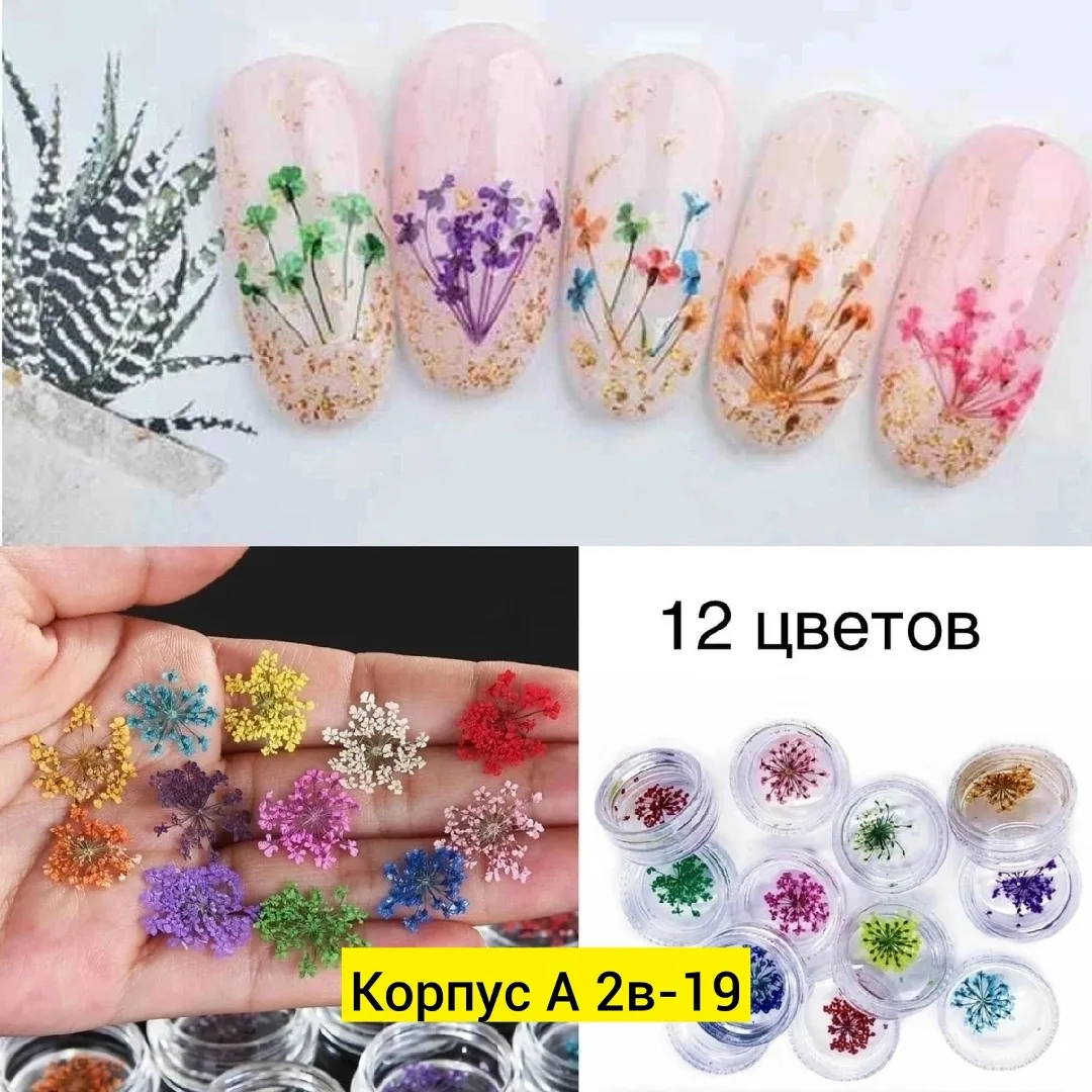 Набор для маникюра из 24 штук натуральных сухоцветов — фото 3