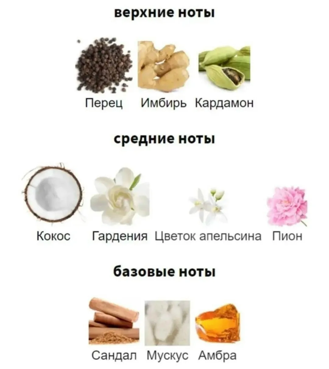 Аромат Чёрный — фото 4