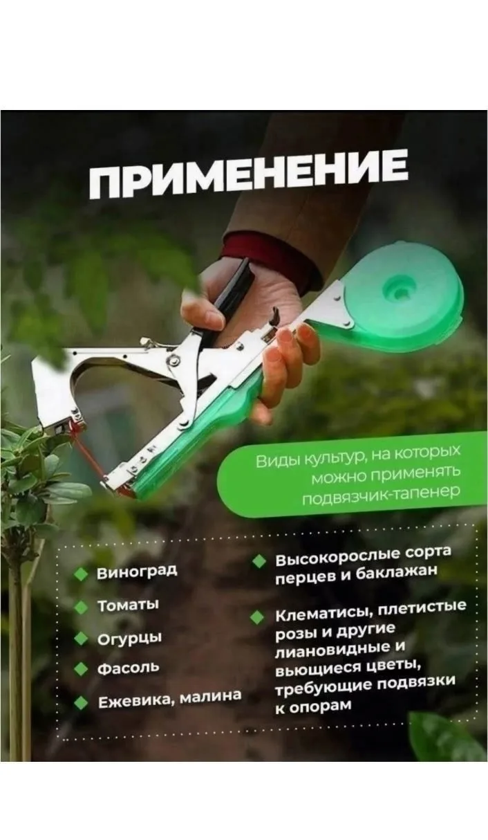 Вашему вниманию Тапенер — фото 3