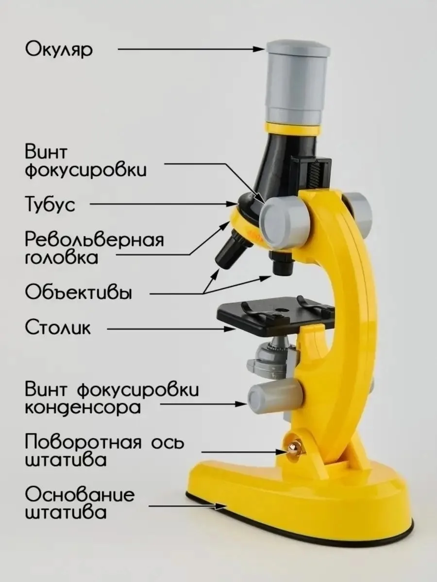 Игровой набор маленького микроскопа — фото 8