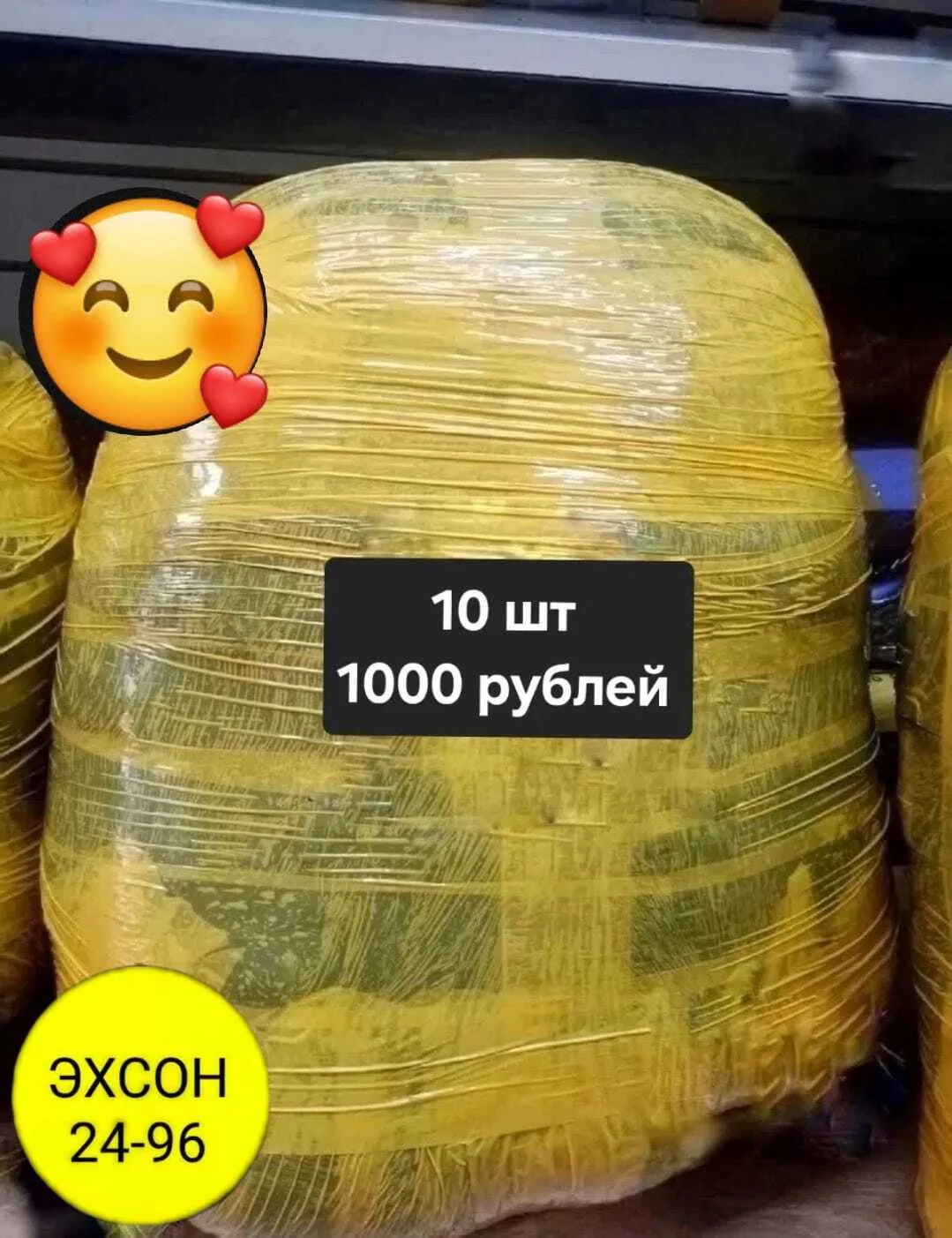 Ветровка начинушка — фото 1