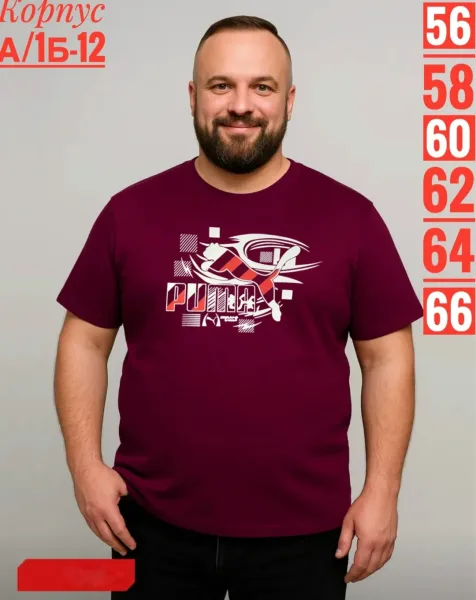Мужская футболка из 100 хлопка — фото 2