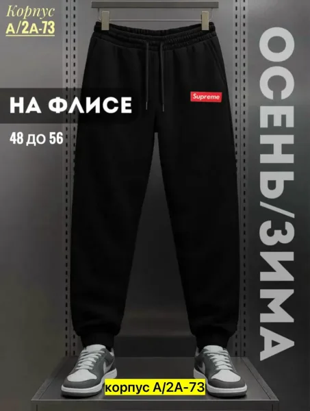 Мужские штаны из флиса с начесом, подходят для повседневной носки — фото 1
