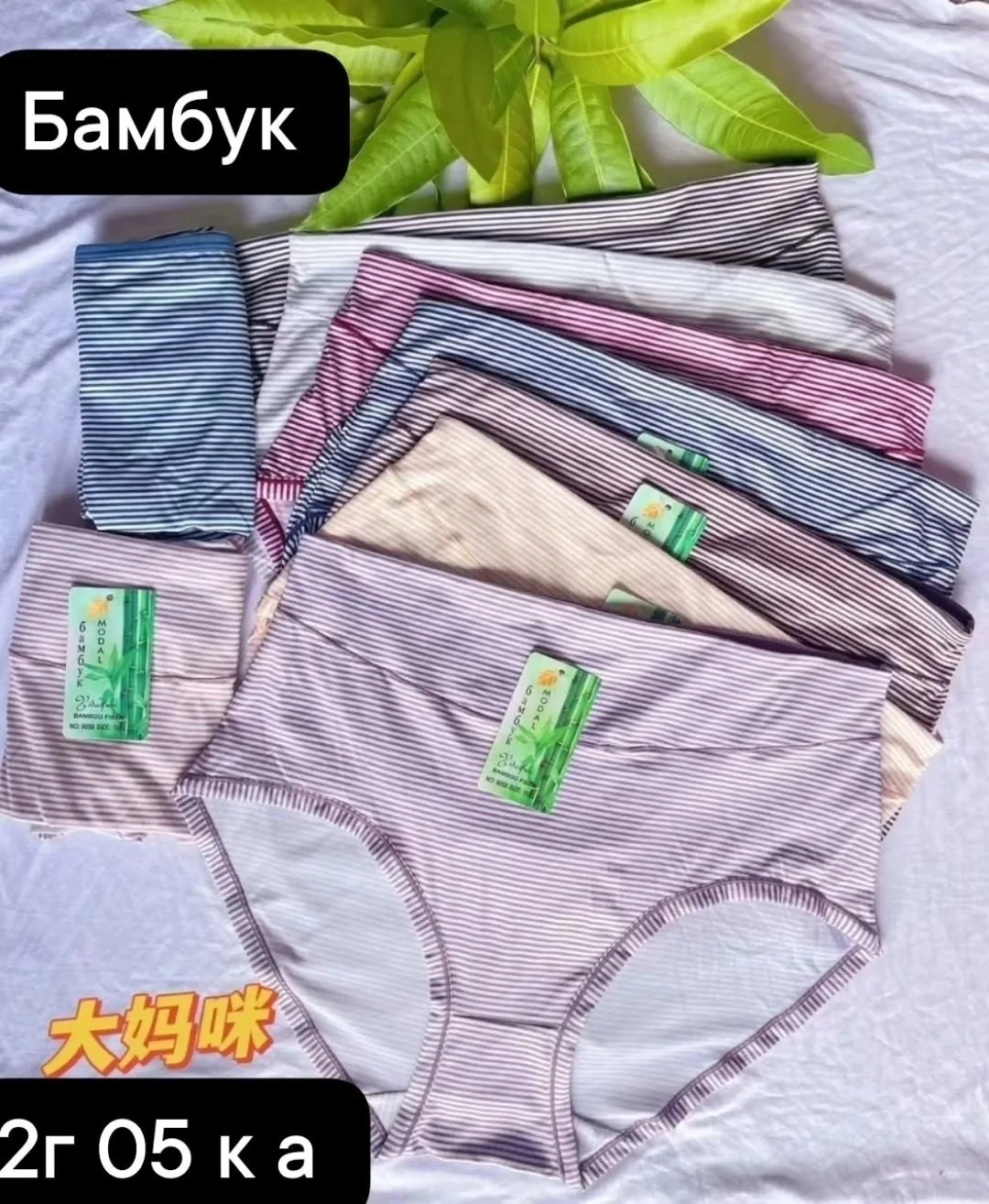 Трусы