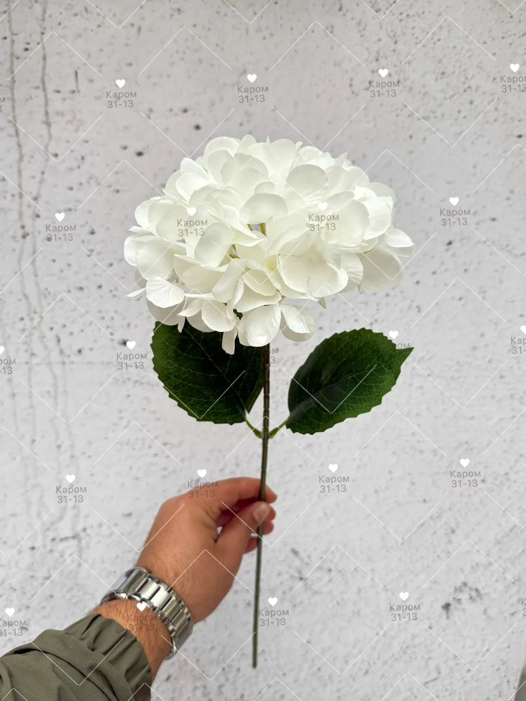 Высота — фото 1