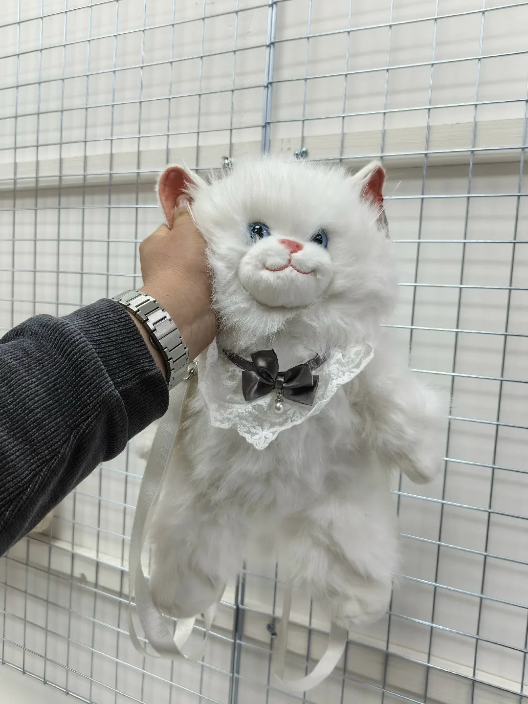 Кошка рюкзак хороший — фото 1