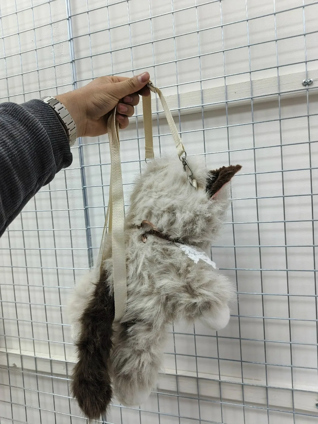 Кошка рюкзак хороший — фото 8