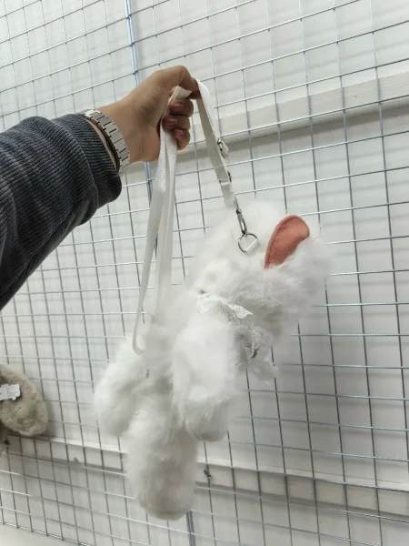 Кошка рюкзак хороший — фото 2