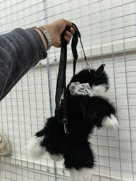 Кошка рюкзак хороший — фото 4