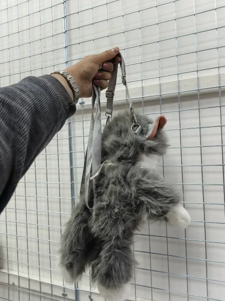 Кошка рюкзак хороший — фото 6
