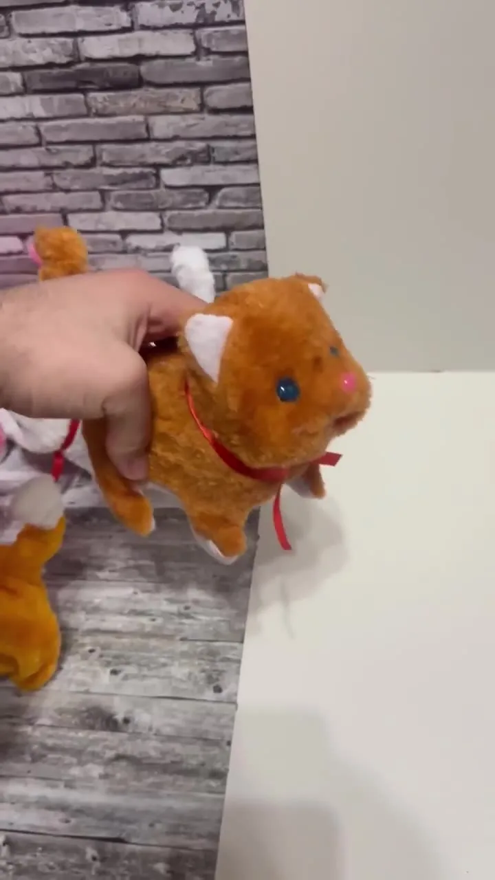 Игрушка-кошка из пластика — видео