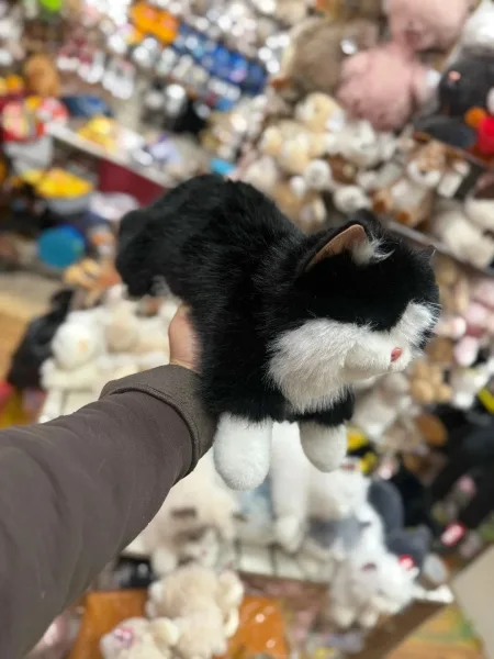 Мягкая игрушка в виде кошки с встроенной мелодией и шариком — фото 4