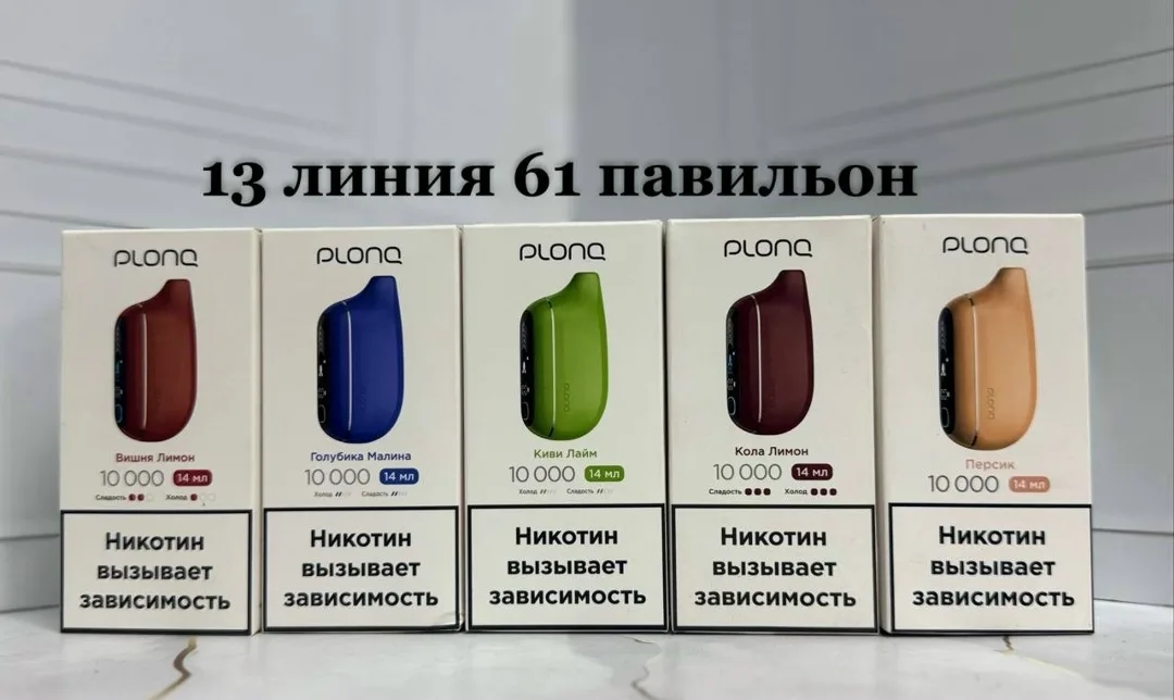 Электронки PLONG 10000 — фото 3