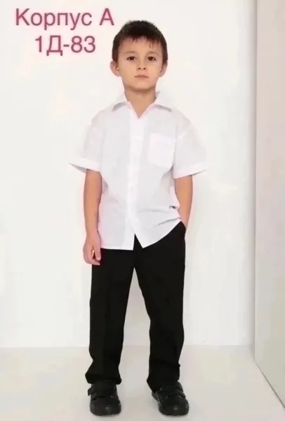 Пришли Рубашка для мальчика — фото 2