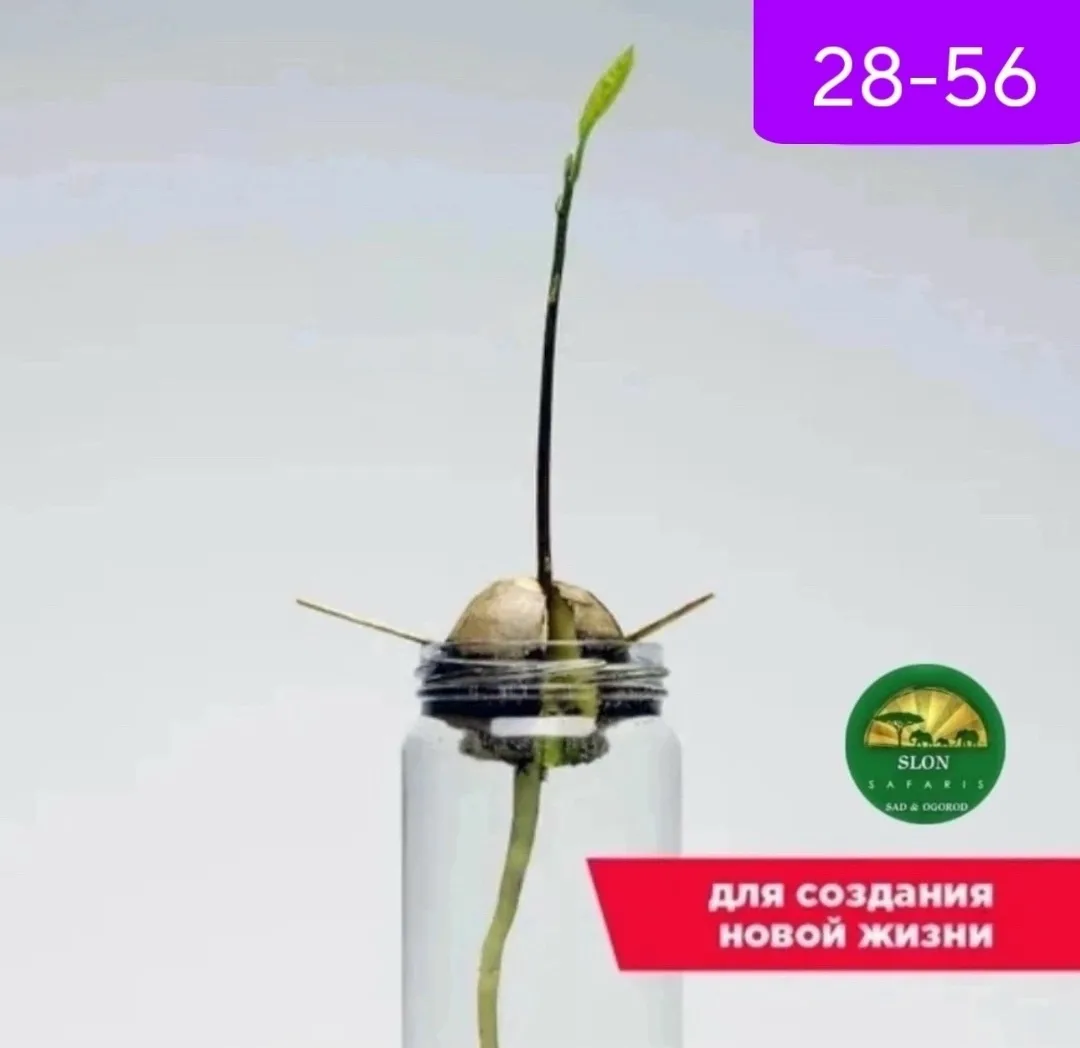Комплектация — фото 3