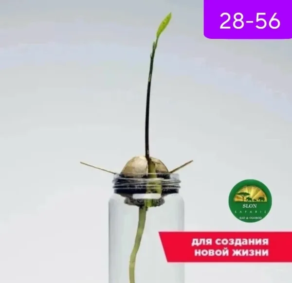 Комплектация — фото 3