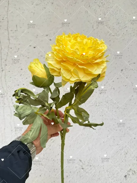Высота — фото 2
