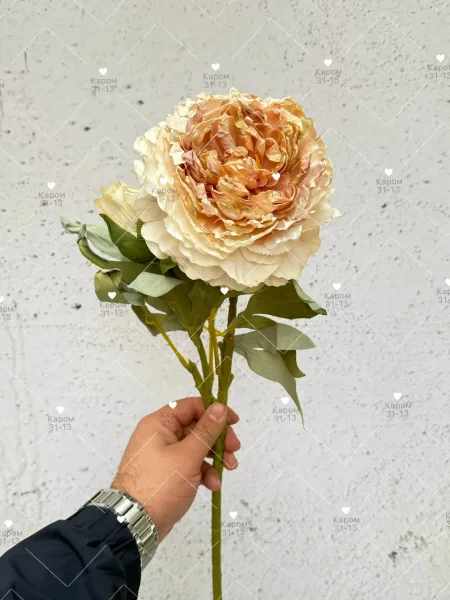 Высота — фото 4