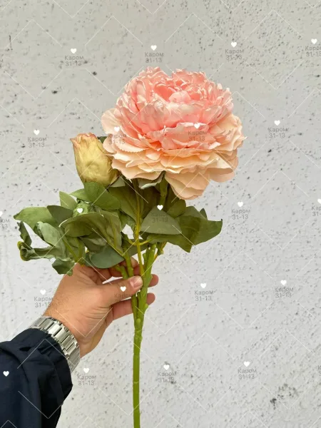 Высота — фото 5