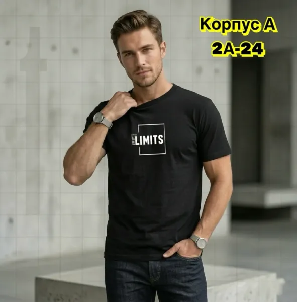 Мужская футболка из натурального хлопка — фото 26