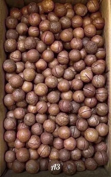 Очень вкусные и ароматные Серый — фото 1