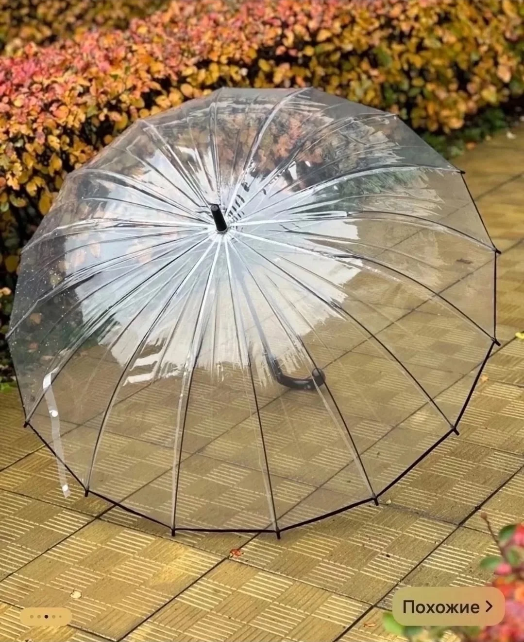 Зонты прозрачные взрослые 16сп Белый — фото 5