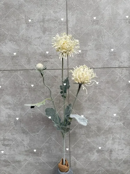 Высота — фото 1