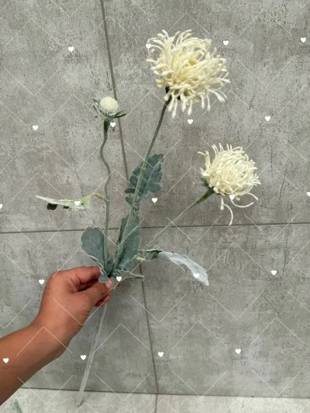 Высота — фото 2