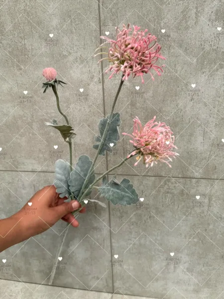 Высота — фото 3