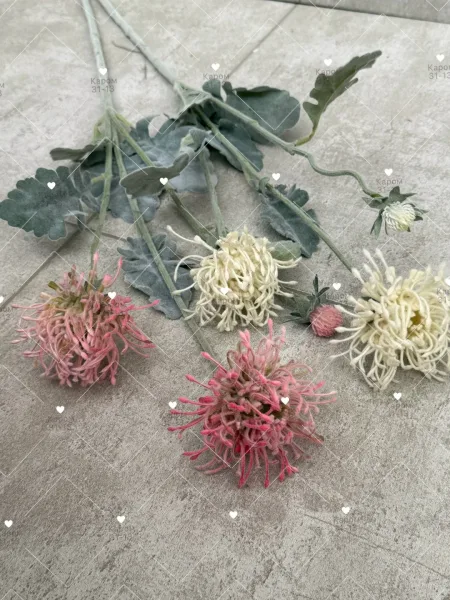 Высота — фото 5