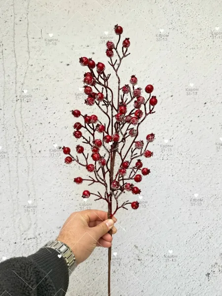 Высота — фото 1