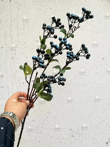 Высота — фото 1