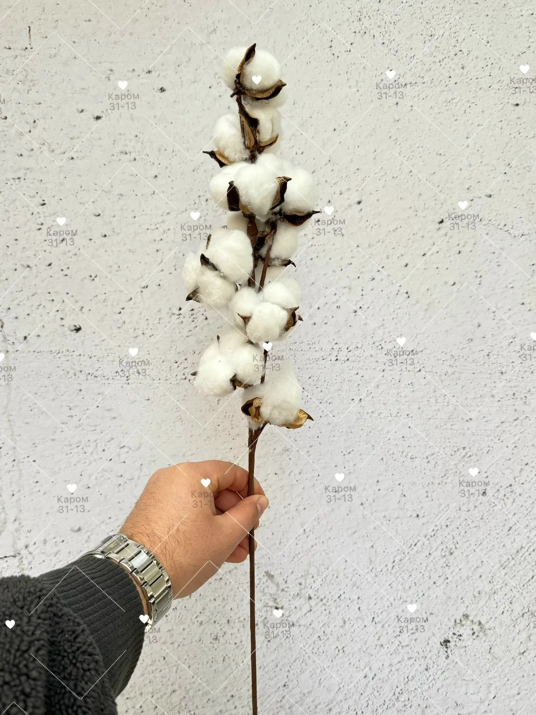 Высота — фото 2