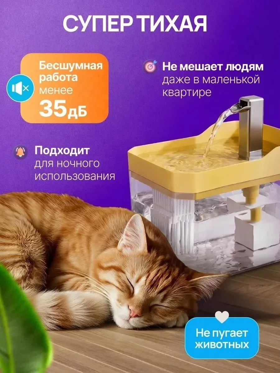 Основная информация — фото 2