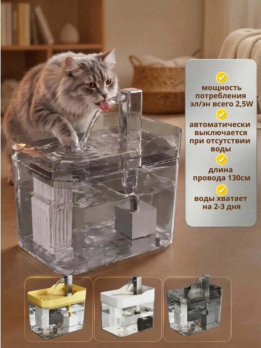 Основная информация — фото 8