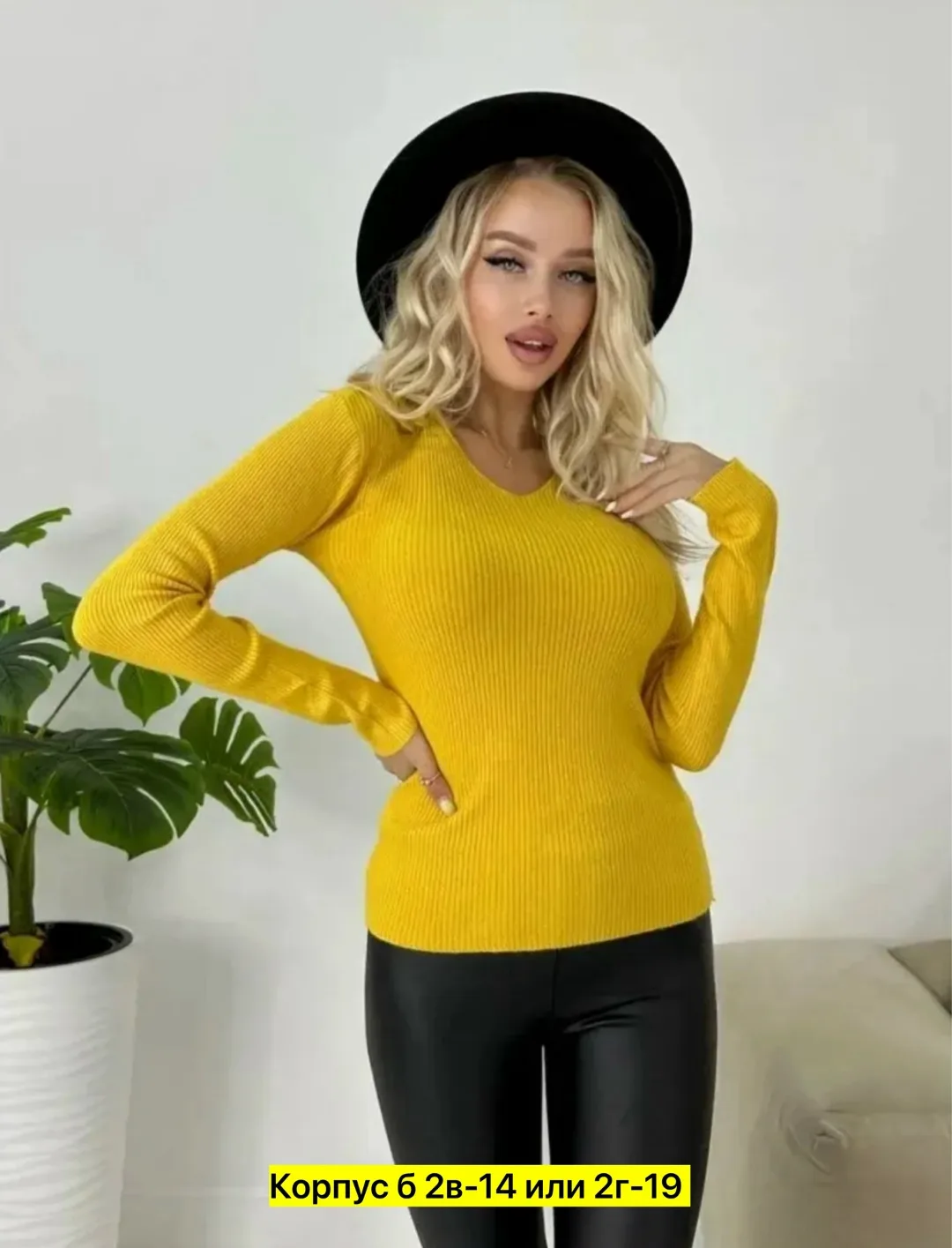 Водолазка, лапша — фото 7
