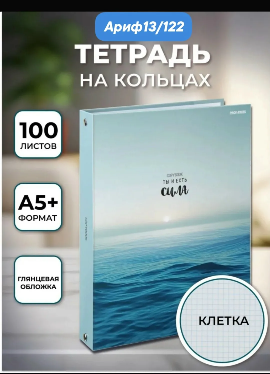 Тетрадь на кольцах 100 листов в клетку — фото 1