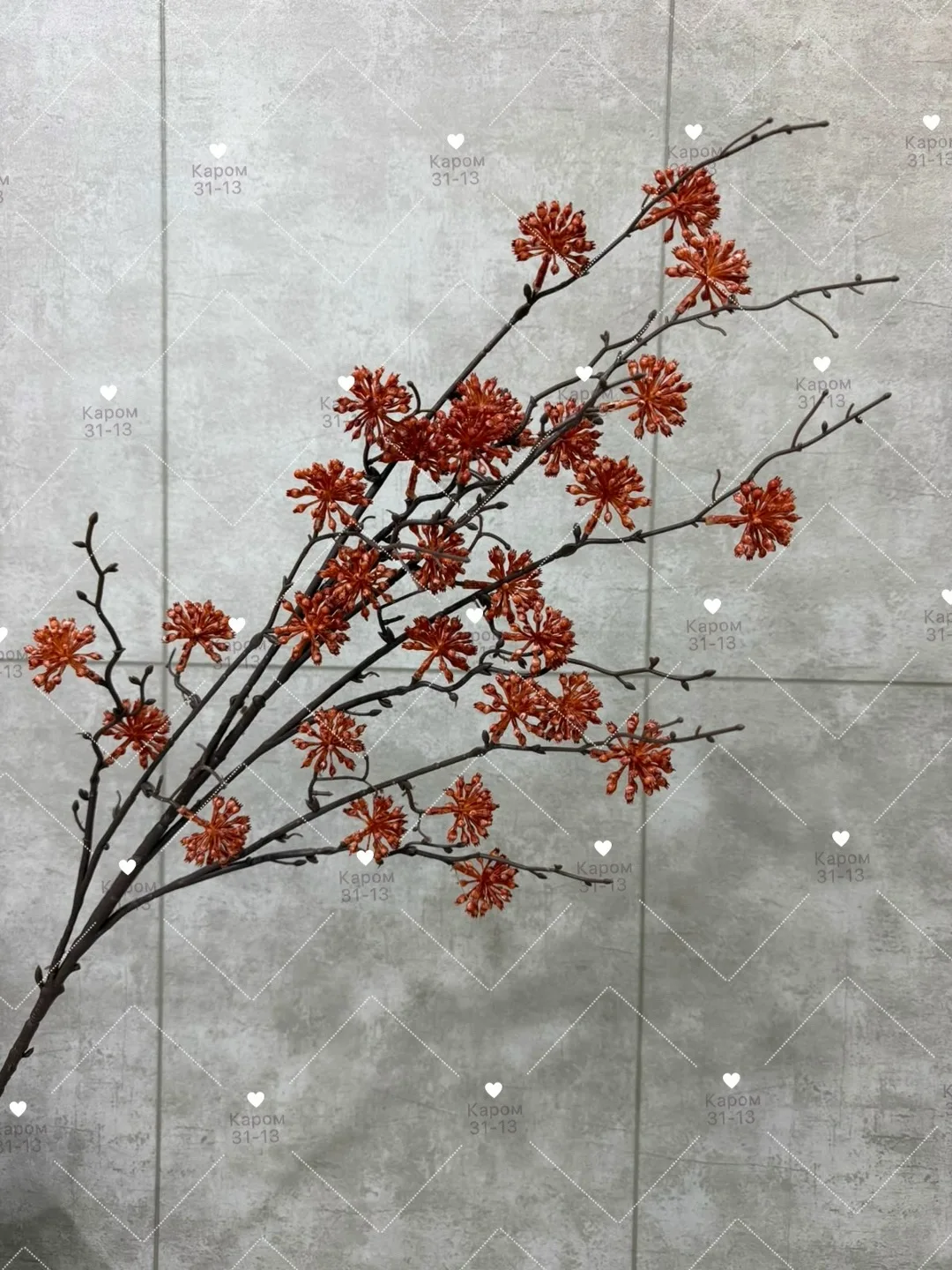 Высота — фото 2