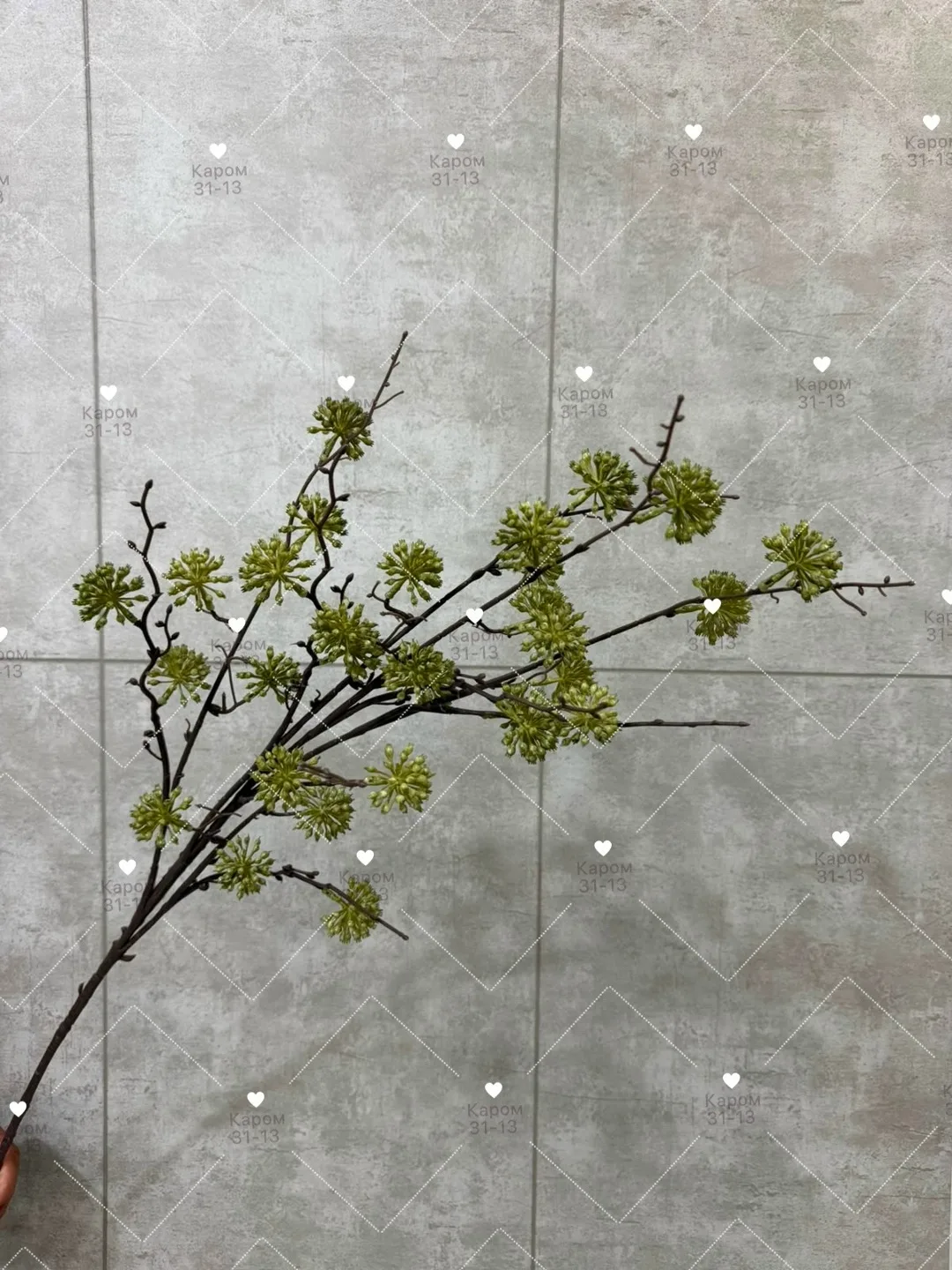 Высота — фото 6