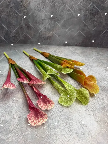 Высота — фото 1