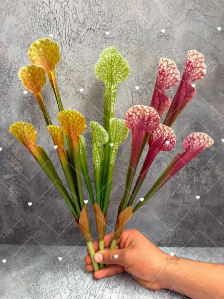 Высота — фото 6