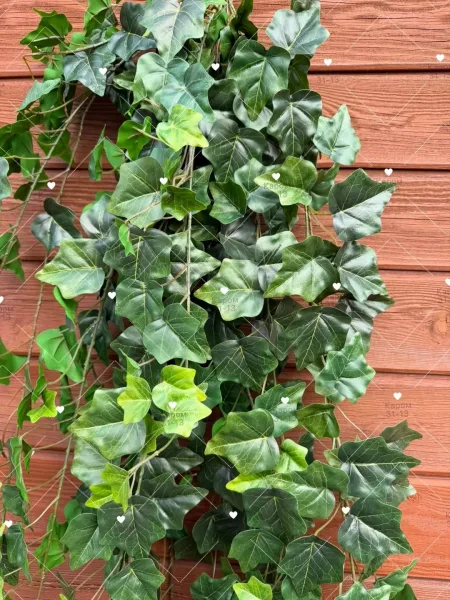 Высота — фото 2