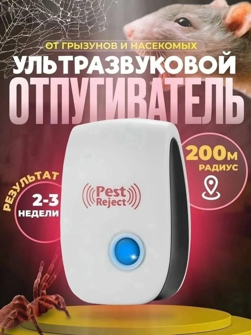 Основная информация Белый — фото 9