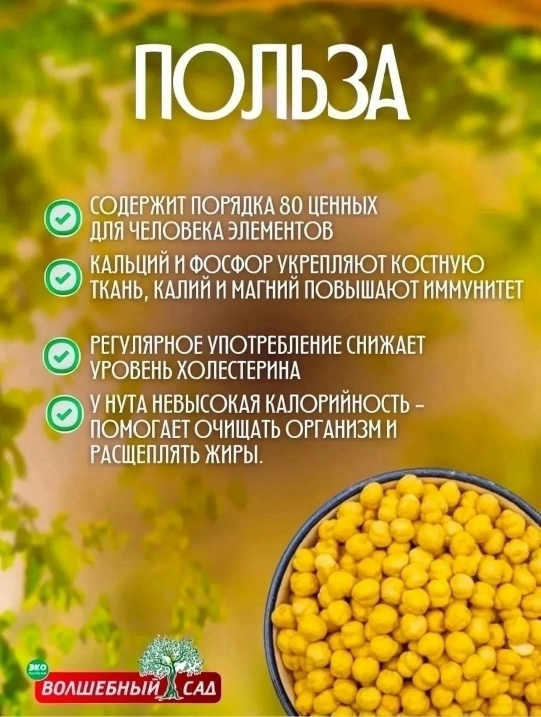 Масса Белый — фото 2