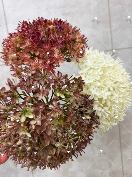 Высота — фото 6