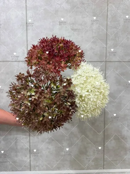 Высота — фото 10